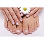 UNGHIE FINTE DECORATE MANI E PIEDI 24 UNGHIE, 1 COLLA