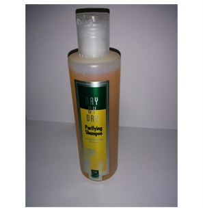 DAY BY DAY SHAMPOO PURIFYING 250ML GREEN LIGHT - 430103-1 - 430103-1