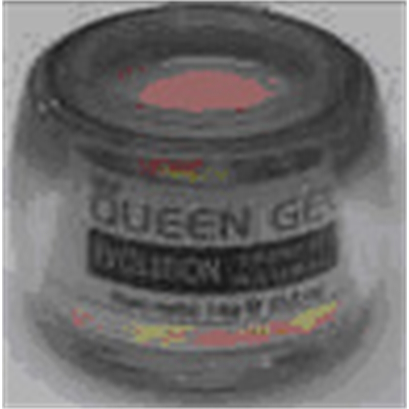 EVOLUTION FRENCH NATURAL GEL  14 GR QUEEN NAILS