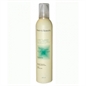 RETRO' LOOK SYSTEM MOUSSE EXTRA FORTE 300 ML RETRO' LOOK SYSTEM MOUSSE EXTRA FORTE 300 ML