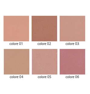 BEST COLOR TAVOLOZZA FARD COMPATTO