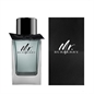 MR BURBERRY EDT 100ML