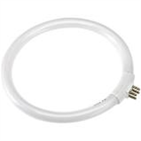NEON PER LAMPADA A 5 DIOTTRIE A LUCE FREDDA - 99NEON-1 - 99NEON-1