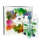 ALKEMILLA KIT ESSENCE GINKO BILOBA E BAMBOO CON GEL DOCCIA, LATTE CORPO E CREMA MANI ALKEMILLA KIT ESSENCE GINKO BILOBA E BAMBOO CON GEL DOCCIA, LATTE CORPO E CREMA MANI