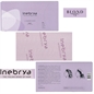STRISCE PER MECHES 35X10 CM 500 PZ