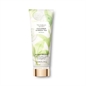 VICTORIA'S SECRET CUCUMBER E GREEN TEA REFRESH BODY LOTION 236ML VICTORIA'S SECRET CUCUMBER E GREEN TEA REFRESH BODY LOTION 236ML