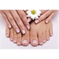 UNGHIE FINTE DECORATE MANI E PIEDI 24 UNGHIE, 1 COLLA