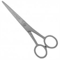 FORBICI PER PARRUCCHIERI INOX PROFESSIONAL 5.5'