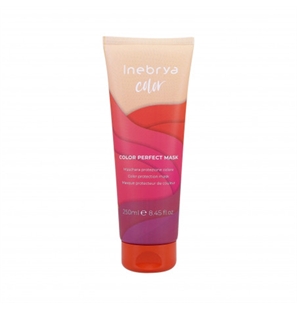 INEBRYA COLOR PERFECT MASCHERA PER CAPELLI COLORATI 250 ML