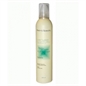 RETRO' LOOK SYSTEM MOUSSE EXTRA FORTE 300 ML RETRO' LOOK SYSTEM MOUSSE EXTRA FORTE 300 ML