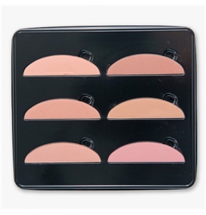 BEST COLOR TAVOLOZZA FARD COMPATTO - TFC - TFC