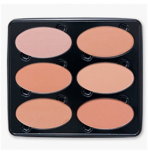 BEST COLOR TAVOLOZZA TERRA COMPATTA - TTC - TTC