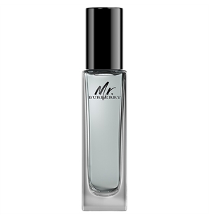 MR BURBERRY EDT 30ML