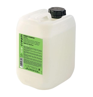 ENERGY SHAMPOO ANTICADUTA TANICA DA 10 LITRI INEBRYA