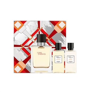 TERRE D'HERMÃˆS COFFRET EDT 50ML + S/G 40ML + A/S BALM 40ML