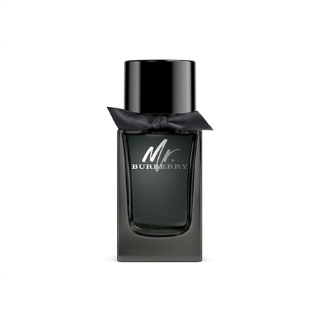 MR BURBERRY EAU DE PARFUM 30ML
