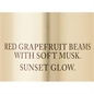VICTORIA'S SECRET ROSE TWILIGHT PROFUMO PER IL CORPO SPRAY 250ML