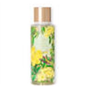 VICTORIA'S SECRET WILD WILLOW PROFUMO PER IL CORPO SPRAY 250ML - 197575005025-1 - 197575005025-1