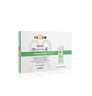 ALFAPARF YELLOW ENERGY LOTION TRATTAMENTO ANTICADUTA FIALE 6X13 ML - 8022297123684-1 - 8022297123684-1