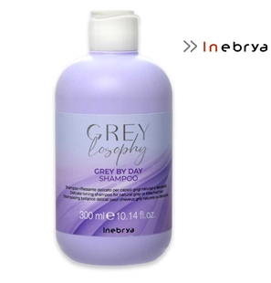INEBRYA GREY LOSOFHY SHAMPOO 300 ML