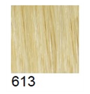 613 - RV24-613-1 - 613-1 - RV24-1