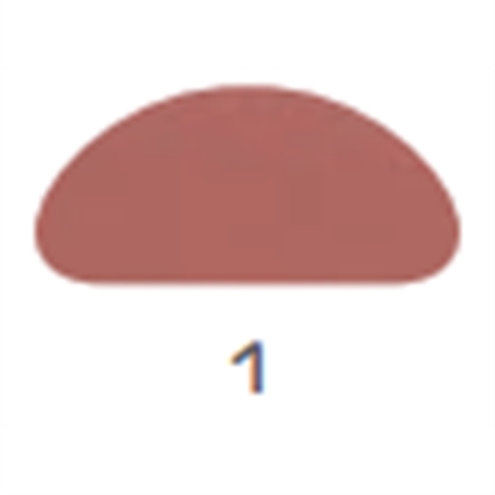 COMPACT BLUSH ON - FARD COMPATTO BARBARA BORT