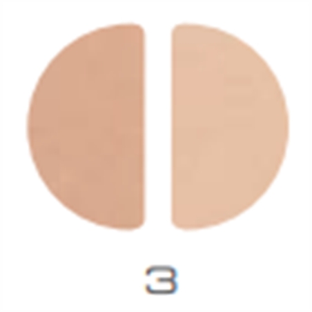 SILKEN POWDER - CIPRIA COMPATTA TRATTANTE BARBARA BORT