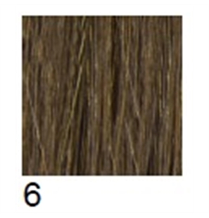 6 - RV24-6-1 - 6-1 - RV24-1