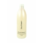 RETRO' PROFESSIONAL EMULSIONE TRATTANTE OSSIDANTE 1000 ML