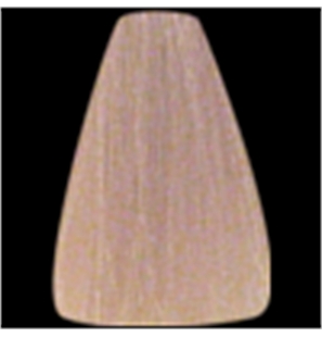 9  BIONDO CHIARISSIMO - HF9-1 - 9  BIONDO CHIARISSIMO-1 - HFCOL-1