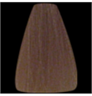 6.003 BIONDO SCURO NATURALE - HF6.003-1 - 6.003 BIONDO SCURO NATURALE-1 - HFCOL-1