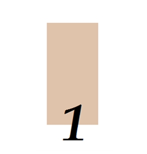 01 - 8051490462542-1 - 01-1 - RYBFONDSTICK-1