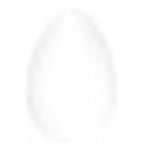 23 WHITE - MS-23-1 - 23 WHITE-1 - MS-1