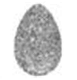 47 GLITTER ARGENTO - MS-47-1 - 47 GLITTER ARGENTO-1 - MS-1