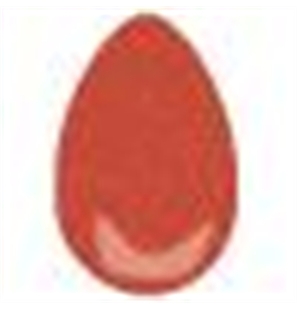 142 CORAL FOR TWO - MS-142-1 - 142 CORAL FOR TWO-1 - MS-1