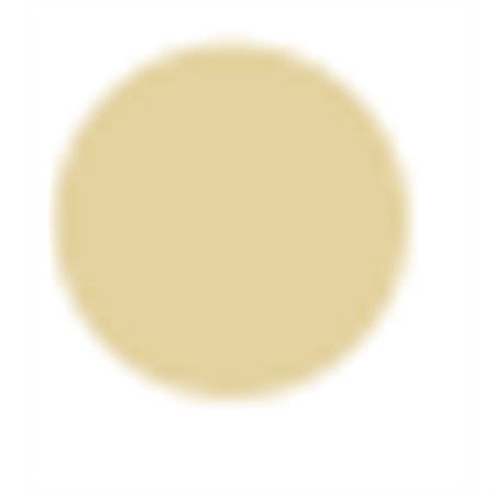COVERMARK CAMOUFLAGE COMPACT POWDER CIPRIA COMPATTA