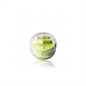 SA BELLESA GLITTER NEON