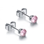 BRAND GIOIELLI PRIDE COPPIA DI ORECCHINI PUNTI LUCE IN ACCIAIO CHIRURGICO 5MM BRAND GIOIELLI PRIDE COPPIA DI ORECCHINI PUNTI LUCE IN ACCIAIO CHIRURGICO 5MM