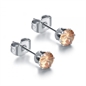 BRAND GIOIELLI PRIDE COPPIA DI ORECCHINI PUNTI LUCE IN ACCIAIO CHIRURGICO 5MM BRAND GIOIELLI PRIDE COPPIA DI ORECCHINI PUNTI LUCE IN ACCIAIO CHIRURGICO 5MM