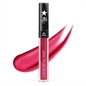 VIP MAKE-UP VELVET METAL LIPCOLOR
