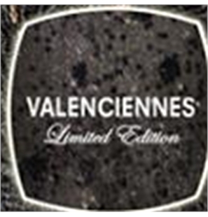VALENCIENNES - VIPGEL-VALENCIENNES-1 - VALENCIENNES-1 - VIPGEL-1