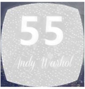 55 ANDY WARHOL - VIP1STEP55-1 - 55 ANDY WARHOL-1 - VIP1STEP-1