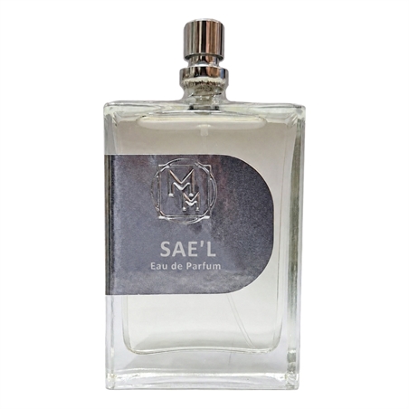 SAEL-MM