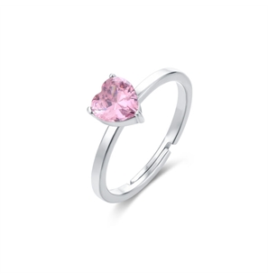 ANELLO ATTIMI